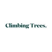 Image: Climbing Trees Shines Bright with Three Global Search Award Nominations
